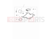 TRIUMPH Bonneville T100 Engine service kit