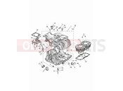 TRIUMPH Bonneville T100 Crankcase & fittings