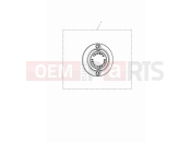 TRIUMPH Bonneville T100 ACG badge