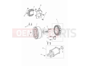 TRIUMPH Street Triple 765 RS Starter & alternator