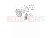 TRIUMPH Tiger 900 Rally Pro Starter drive gears
