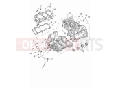 TRIUMPH Tiger 900 Rally Pro Crankcase & fittings