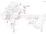 DUCATI Scrambler Cafe Racer Wiring Harness (Coil)