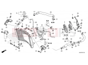 HONDA CBR600RR (CBR600R3N) 2022 F-41 RADIATOR