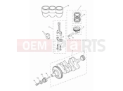 TRIUMPH Tiger 900 GT Aragon Edition Crankshaft, connecting rods, pistons & liners