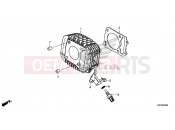 HONDA Z125 MONKEY (Z125MAM) 2021 E-5 CYLINDER