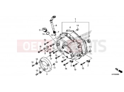 HONDA Z125 MONKEY (Z125MAM) 2021 E-6 RIGHT CRANKCASE COVER