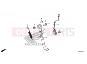 HONDA Z125 MONKEY (Z125MAM) 2021 F-31 STAND