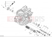 DUCATI 2025 Hypermotard 698 Mono RVE Oil pump