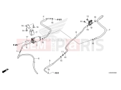 HONDA DAX 125 (ST125AP) 2022 F-26 CANISTER