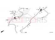 HONDA DAX 125 (ST125AP) 2023 F-26 CANISTER