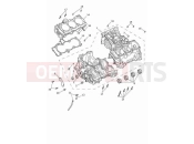 TRIUMPH Speed Triple 1200 RS Crankcase & fittings