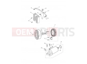 TRIUMPH DAYTONA 675R from VIN 564948 Starter & Alternator