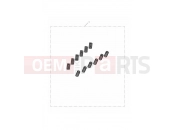 TRIUMPH DAYTONA 675R from VIN 564948 Valve Spring Kit, Race