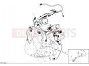 DUCATI Multistrada V4 Pikes Peak Engine electric system