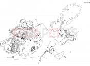 DUCATI Scrambler Icon Wiring harness