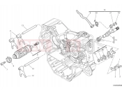 DUCATI Monster Senna Shift cam & fork