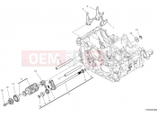 DUCATI Streetfighter V4 Shift cam & fork