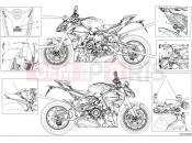 DUCATI Streetfighter V4 Positioning plates (1)