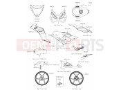 KAWASAKI NINJA ZX-6R (ZX636JSFAN) 65 Decals(Green)