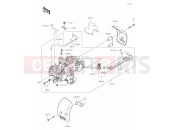 KAWASAKI 2021 19 Throttle