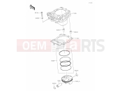 KAWASAKI KX250X (KX252DMFNN) (Europe) 03 Cylinder/Piston(s)