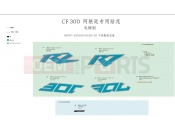 CFMOTO 2020 MOTORCYCLE 300 NK (CF300) DECAL(PAINTED ULTRA SILVER-ARGENTINA)