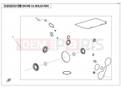 CFMOTO CFORCE 450 (CF400AU-A) ENGINE OIL SEAL &O-RING