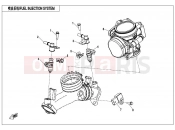 CFMOTO CFORCE 850 (CF800AU-2AF) FUEL INJECTION SYSTEM - E17