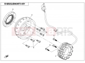 CFMOTO 2015 UTV UFORCE 800 (CF800UU-A) MAGNETO ASSY. - E03