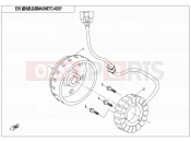 CFMOTO ZFORCE 500 (CF500US-EX) MAGNETO STATOR ASSY - E03