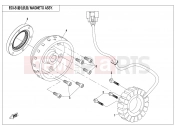 CFMOTO ZFORCE 800 (CF800) MAGNETO ASSY.(HIGH POWER) - E03-B