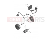 TRIUMPH Tiger Sport 800 Starter & Alternator