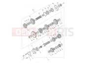 Triumph 2026 TRIDENT 660cc CN4040 > Transmission