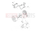 Triumph 2026 TRIDENT 660cc CN4040 > Alternator & Starter Motor