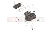 TRIUMPH SPEED TRIPLE 1200 RS - CD3148 > Crankcase & Fittings