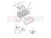 TRIUMPH SPEED TRIPLE 1200 RS - CD3148 > Cylinder Head & Valves