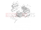 Triumph 2024 Tiger 1200 GT Explorer from AV5527
 Crankcase & Fittings