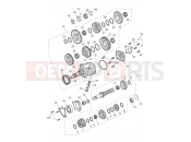 Triumph 2024 Tiger 1200 GT Explorer from AV5527
 Transmission