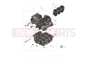 Triumph 2026 Trident 800 Crankcase & Fittings