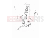 TRIUMPH Tiger 900 Rally Pro Front brake master cylinder