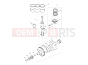 TRIUMPH Tiger 850 Sport Crankshaft, Connecting Rods, Pistons & Liners