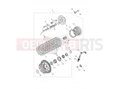 TRIUMPH TIGER 900 Rally Pro - BP4996 > Clutch