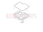 TRIUMPH TIGER 900 Rally Pro - BP4996 > Sump & Fittings