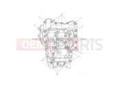 TRIUMPH TIGER 900 Rally Pro - BP4996 > Crankcase Bolts