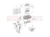 Triumph 2026 SPEED TWIN 1200 Cylinder Head & Valves
