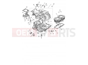 Triumph 2026 SPEED TWIN 1200 Crankcase & Fittings