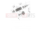 TRIUMPH SPEED TWIN RS 1200 Clutch