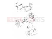 Triumph 2025 TIGER SPORT 660cc from CN4034 Alternator & Starter Motor