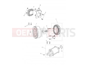 TRIUMPH STREET TRIPLE 765 R Starter & Alternator